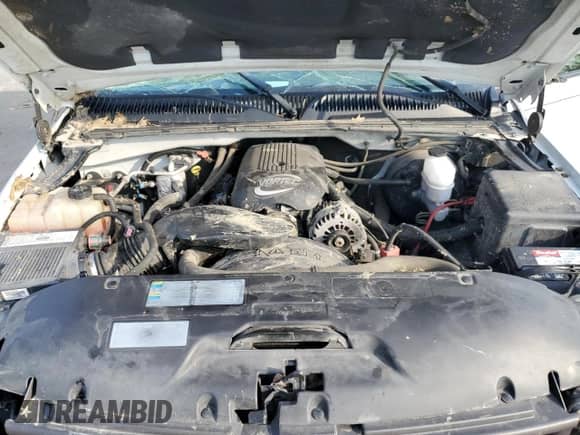 2002 Chevrolet Silverado 1500 LS with VIN 2GCEC19V321341384, listed as a Copart auction lot 66527885 with Not provided miles and Salvage title. Bid and sale history available at DreamBid. Image 11.