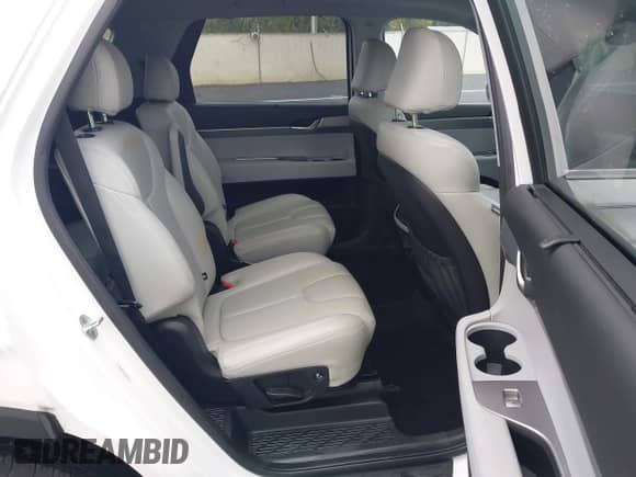 2020 Hyundai Palisade SEL с VIN KM8R34HE4LU079493, выставлен на аукционе IAAI как лот 43299366 с пробегом 48 485 миль миль и . История ставок и продаж доступна на DreamBid. Изображение 8.