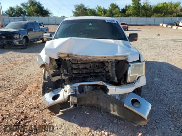 2009 Ford F-150 XL z VIN 1FTRW12889KA45509, wystawiony jako Copart lot #83948885 z przebiegiem 430 139 mil mil oraz Szkoda całkowita • Salvage title. Historia ofert i sprzedaży dostępna na DreamBid. Obrazek 5.