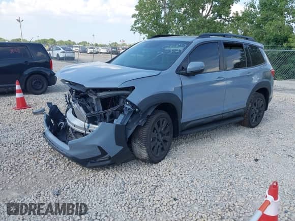 2022 Honda Passport EX-L with VIN 5FNYF8H59NB004976, listed as a IAAI auction lot 42656310 with Not provided miles and . Bid and sale history available at DreamBid. Image 2.