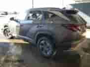 2025 Hyundai Tucson Blue с VIN KM8JBDD18SU260131, выставлен на аукционе Copart как лот 84478125 с пробегом 31 373 миль миль и Чистый • Clean title. История ставок и продаж доступна на DreamBid. Изображение 2.
