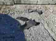 2008 Hyundai Elantra GLS с VIN KMHDU46D98U348936, выставлен на аукционе Copart как лот 87019025 с пробегом 97 653 миль миль и Списание • Salvage title. История ставок и продаж доступна на DreamBid. Изображение 12.