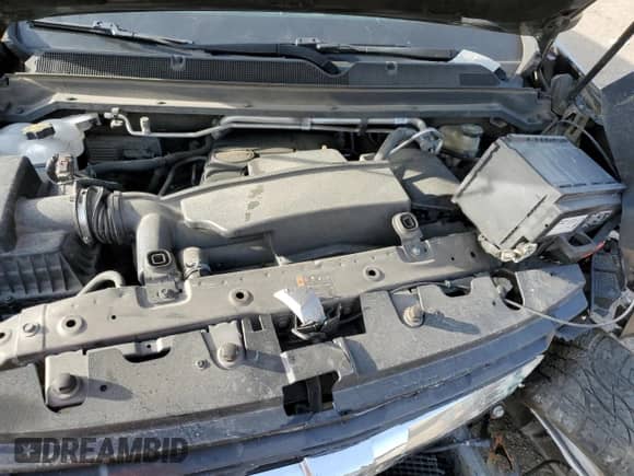 2017 Chevrolet Colorado 2WD LT with VIN 1GCGSCEA2H1223903, listed as a Copart auction lot 55277245 with Not provided miles and Salvage title. Bid and sale history available at DreamBid. Image 11.