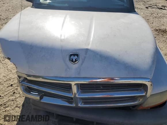 2004 Dodge Dakota with VIN 1D7FL16K14S554387, listed as a Copart auction lot 59397994 with Not provided miles and Salvage title. Bid and sale history available at DreamBid. Image 11.