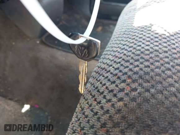 2000 Dodge 1500 с VIN 3B7HC13Y9YG100624, выставлен на аукционе IAAI как лот 42375679 с пробегом 234 353 миль миль и . История ставок и продаж доступна на DreamBid. Изображение 11.