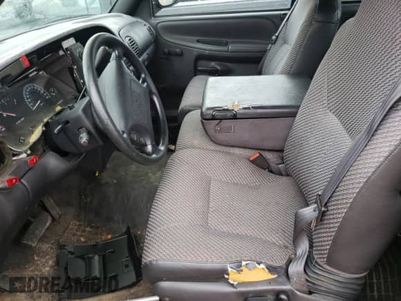 1999 Dodge 1500 with VIN 3B7HC12Y1XG110550, listed as a Copart auction lot 41469855 with 186,072 mi miles and Salvage title. Bid and sale history available at DreamBid. Image 7.