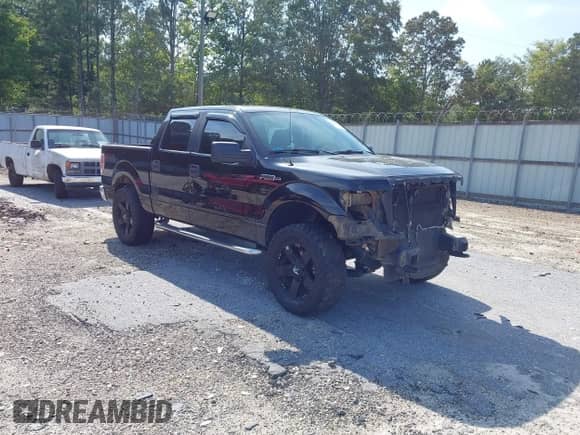 2010 Ford F-150 XL with VIN 1FTEW1E83AFC75711, listed as a IAAI auction lot 43149489 with 178,831 mi miles and . Bid and sale history available at DreamBid. Image 1.