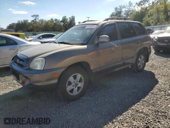 2005 Hyundai Santa Fe GLS z VIN KM8SC13D65U955742, wystawiony jako Copart lot #85106615 z przebiegiem 112 135 mil mil oraz Szkoda całkowita • Salvage title. Historia ofert i sprzedaży dostępna na DreamBid. Obrazek 1.