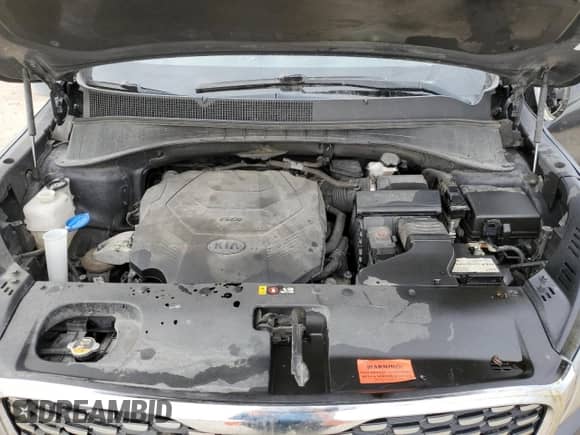 2019 Kia Sorento SX Limited with VIN 5XYPKDA54KG529524, listed as a Copart auction lot 50106635 with 121,295 mi miles and Non repairable. Bid and sale history available at DreamBid. Image 12.