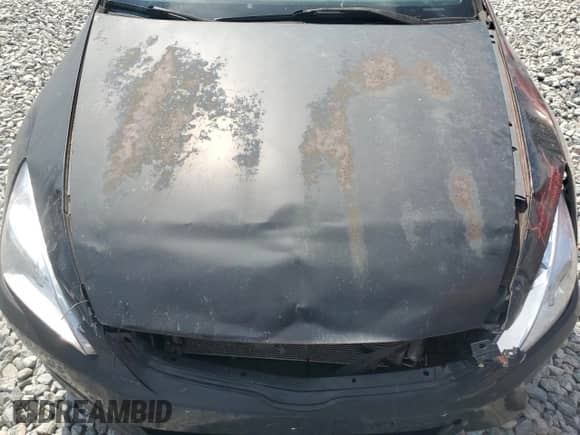 2006 Honda Accord EX with VIN 1HGCM72786A000790, listed as a Copart auction lot 66879915 with Not provided miles and Clean title. Bid and sale history available at DreamBid. Image 11.