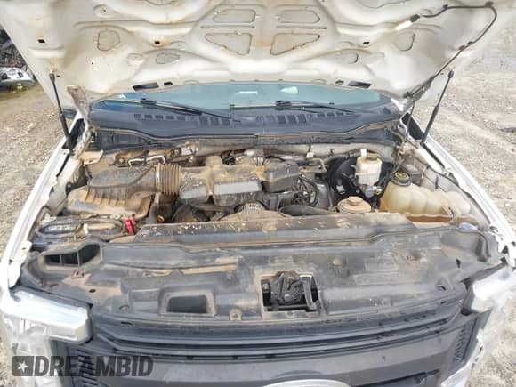 2019 Ford F-250 XL with VIN 1FT7W2A64KEF09039, listed as a IAAI auction lot 42276282 with 168,341 mi miles and . Bid and sale history available at DreamBid. Image 10.