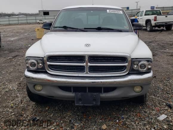2001 Dodge Dakota Sport с VIN 1B7GL22N01S284441, выставлен на аукционе Copart как лот 83486504 с пробегом 114 613 миль миль и Списание • Salvage title. История ставок и продаж доступна на DreamBid. Изображение 5.