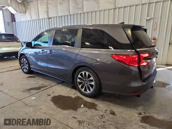 2021 Honda Odyssey EX-L with VIN 5FNRL6H79MB028468, listed as a Copart auction lot 80837545 with 77,630 mi miles and Salvage title. Bid and sale history available at DreamBid. Image 2.