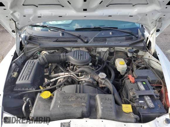 2000 Dodge Dakota with VIN 1B7FL26X2YS736990, listed as a Copart auction lot 66327964 with 219,577 mi miles and Salvage title. Bid and sale history available at DreamBid. Image 12.