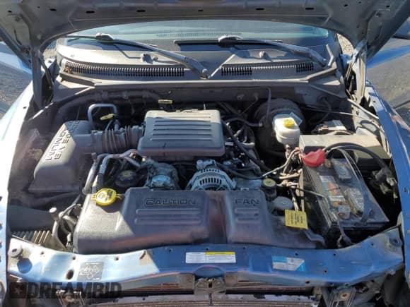 2002 Dodge Durango SLT with VIN 1B4HS48N02F150790, listed as a Copart auction lot 81641895 with 248,477 mi miles and Salvage title. Bid and sale history available at DreamBid. Image 12.