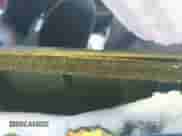 2011 Honda Accord EX with VIN 1HGCS1B79BA001377, listed as a IAAI auction lot 40209633 with 71,364 mi miles and . Bid and sale history available at DreamBid. Image 8.