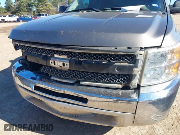 2012 Chevrolet Silverado 1500 LS z VIN 3GCPCREAXCG228826, wystawiony jako IAAI lot #41155616 z przebiegiem 223 683 mil mil oraz . Historia ofert i sprzedaży dostępna na DreamBid. Obrazek 18.