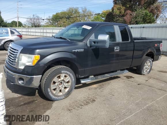 2010 Ford F-150 XL with VIN 1FTFX1EV3AFA10617, listed as a Copart auction lot 82409915 with 123,559 mi miles and Clean title. Bid and sale history available at DreamBid. Image 1.
