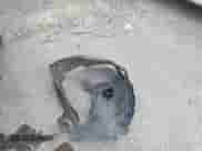 2002 Jeep Grand Cherokee с VIN 1J4GX38S52C154359, выставлен на аукционе IAAI как лот 42765362 с пробегом 333 596 миль миль и . История ставок и продаж доступна на DreamBid. Изображение 12.