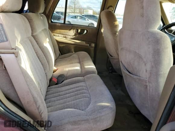 1998 Chevrolet Blazer LT z VIN 1GNDT13W9W2224077, wystawiony jako Copart lot #82865874 z przebiegiem 206 556 mil mil oraz Szkoda całkowita • Salvage title. Historia ofert i sprzedaży dostępna na DreamBid. Obrazek 10.