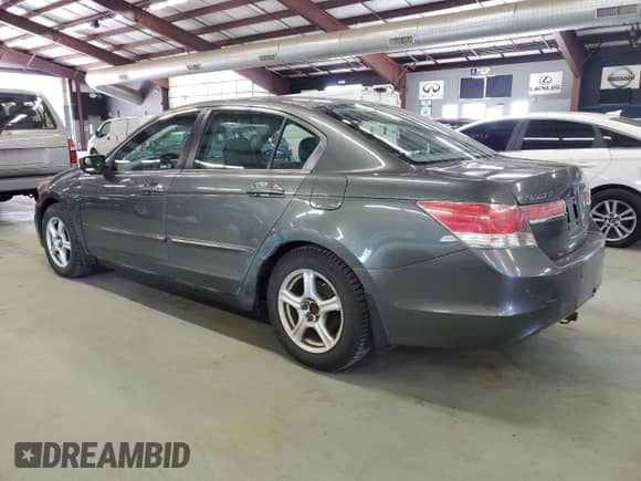 2011 Honda Accord EX with VIN 1HGCP2E75BA103164, listed as a Copart auction lot 81241565 with 290,349 mi miles and Clean title. Bid and sale history available at DreamBid. Image 2.