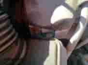 2019 Chevrolet Equinox LT with VIN 2GNAXLEXXK6158029, listed as a Copart auction lot 85945665 with 88,126 mi miles and Clean title. Bid and sale history available at DreamBid. Image 14.