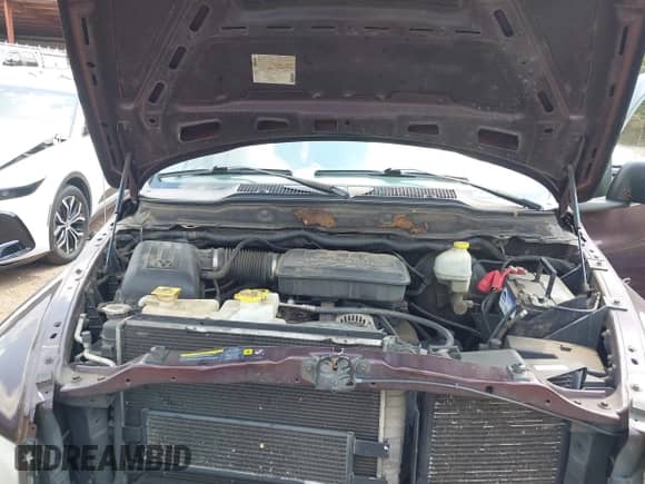 2005 Dodge 1500 SLT with VIN 1D7HU18N55S302754, listed as a IAAI auction lot 43205535 with 128,877 mi miles and . Bid and sale history available at DreamBid. Image 10.