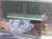 2014 Toyota Tacoma z VIN 5TFUX4EN1EX029790, wystawiony jako IAAI lot #42718356 z przebiegiem 211 699 mil mil oraz . Historia ofert i sprzedaży dostępna na DreamBid. Obrazek 9.