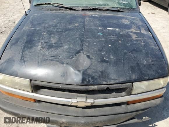 2002 Chevrolet S-10 LS z VIN 1GCCS195028166244, wystawiony jako Copart lot #54846335 z przebiegiem Nie podano mil oraz Czysty tytuł • Clean title. Historia ofert i sprzedaży dostępna na DreamBid. Obrazek 11.