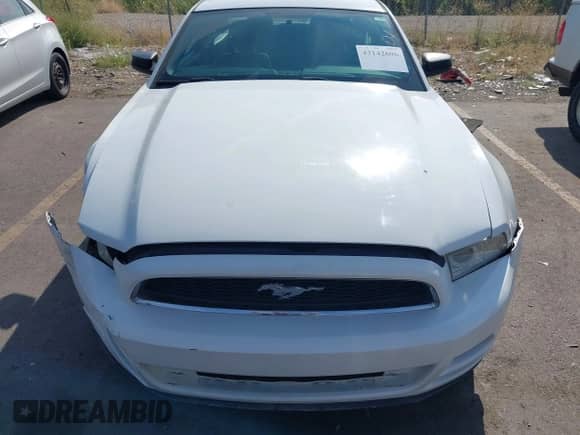 2014 Ford Mustang Premium with VIN 1ZVBP8AM7E5259273, listed as a IAAI auction lot 43142606 with 51,527 mi miles and . Bid and sale history available at DreamBid. Image 12.