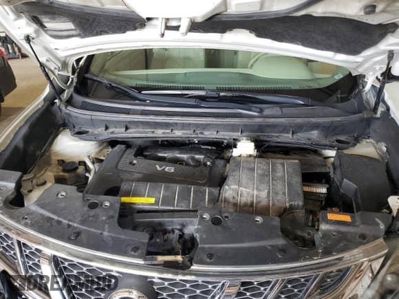 2011 Nissan Murano with VIN JN8AZ1FY8BW002287, listed as a Copart auction lot 66268995 with Not provided miles and Salvage title. Bid and sale history available at DreamBid. Image 12.