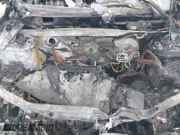 2011 Hyundai Santa Fe GLS with VIN 5XYZGDAB4BG032912, listed as a IAAI auction lot 42926960 with Not provided miles and . Bid and sale history available at DreamBid. Image 10.