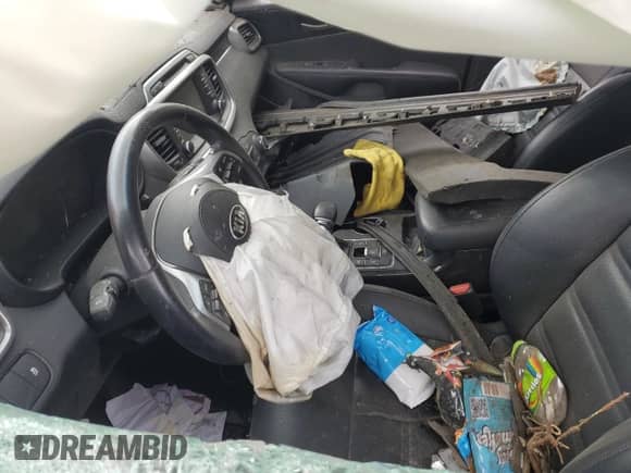 2019 Kia Sorento EX с VIN 5XYPHDA53KG479486, выставлен на аукционе Copart как лот 56325555 с пробегом 99 999 миль миль и Чистый • Clean title. История ставок и продаж доступна на DreamBid. Изображение 7.