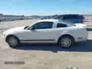 2008 Ford Mustang Deluxe with VIN 1ZVHT80N285172725, listed as a IAAI auction lot 43456715 with 55,173 mi miles and . Bid and sale history available at DreamBid. Image 14.