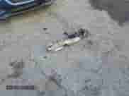 2018 BMW 5 Series M550i xDrive with VIN WBAJB9C52JB285992, listed as a Copart auction lot 81937825 with Not provided miles and Salvage title. Bid and sale history available at DreamBid. Image 12.