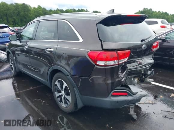2016 Kia Sorento EX with VIN 5XYPH4A51GG040097, listed as a IAAI auction lot 42981926 with 114,168 mi miles and . Bid and sale history available at DreamBid. Image 3.