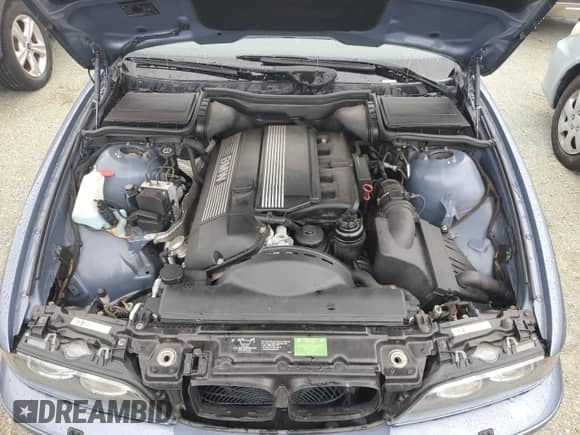 2002 BMW 5 Series 530i with VIN WBADT53462CE92426, listed as a Copart auction lot 74683564 with Not provided miles and Salvage title. Bid and sale history available at DreamBid. Image 11.