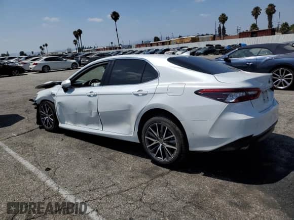 2021 Toyota Camry Hybrid XLE with VIN 4T1F31AKXMU553174, listed as a Copart auction lot 66007645 with Not provided miles and Salvage title. Bid and sale history available at DreamBid. Image 2.