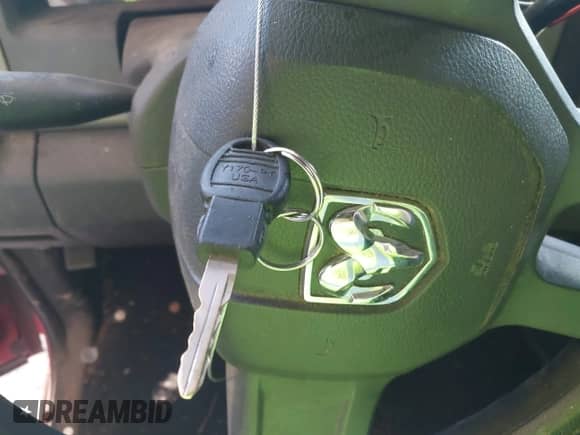 2010 Dodge 1500 ST with VIN 1D7RB1GP1AS209236, listed as a IAAI auction lot 42253410 with 151,993 mi miles and . Bid and sale history available at DreamBid. Image 11.