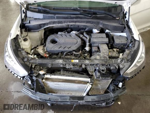 2018 Hyundai Santa Fe 2.0T с VIN 5XYZUDLA5JG512405, выставлен на аукционе Copart как лот 80729765 с пробегом 119 825 миль миль и Списание • Salvage title. История ставок и продаж доступна на DreamBid. Изображение 12.