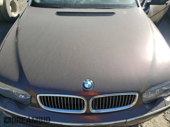 2003 BMW 7 Series 745Li with VIN WBAGN63413DR18433, listed as a Copart auction lot 69979715 with Not provided miles and Salvage title. Bid and sale history available at DreamBid. Image 11.