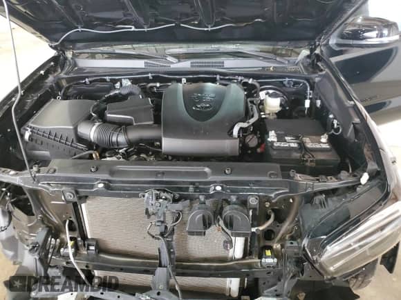 2022 Toyota Tacoma Limited с VIN 3TMGZ5AN7NM512841, выставлен на аукционе Copart как лот 55468955 с пробегом 16 413 миль миль и Списание • Salvage title. История ставок и продаж доступна на DreamBid. Изображение 11.