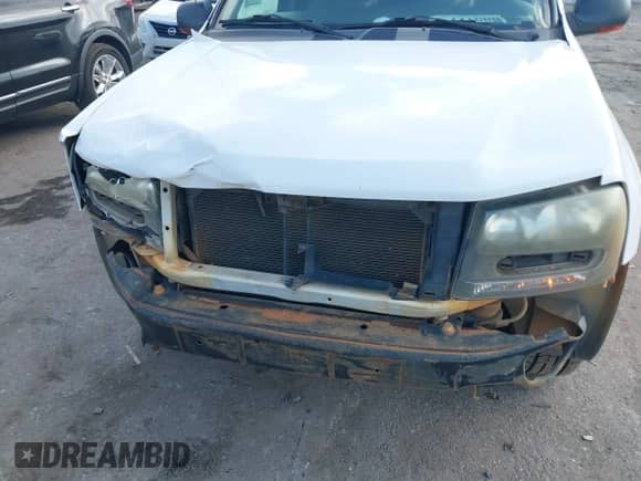 2003 Chevrolet TrailBlazer LS with VIN 1GNDS13S432389322, listed as a IAAI auction lot 41431482 with 298,917 mi miles and . Bid and sale history available at DreamBid. Image 6.