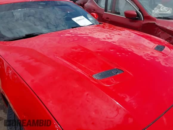 2023 Ford Mustang EcoBoost with VIN 1FA6P8TH0P5101791, listed as a IAAI auction lot 42888045 with 17,479 mi miles and . Bid and sale history available at DreamBid. Image 6.