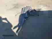 2018 Ford Explorer Limited с VIN 1FM5K7F86JGA43607, выставлен на аукционе Copart как лот 71993575 с пробегом 85 151 миль миль и Списание • Salvage title. История ставок и продаж доступна на DreamBid. Изображение 13.