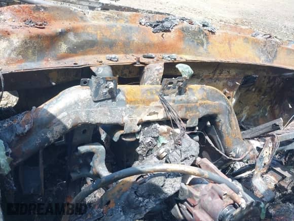 2019 Chevrolet Tahoe LS with VIN 1GNSKAKC0KR341436, listed as a IAAI auction lot 42749185 with Not provided miles and . Bid and sale history available at DreamBid. Image 7.