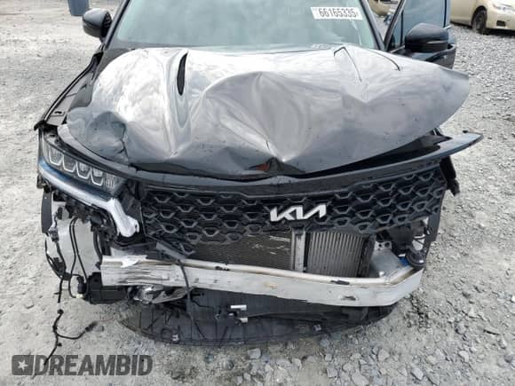 2022 Kia Sorento EX with VIN 5XYRH4LF4NG101342, listed as a Copart auction lot 66165335 with 50,788 mi miles and Non repairable. Bid and sale history available at DreamBid. Image 12.