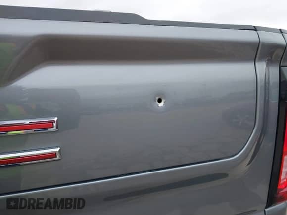 2022 GMC Sierra 1500 AT4 with VIN 1GTP9EEL0NZ199090, listed as a IAAI auction lot 41380413 with 100,657 mi miles and . Bid and sale history available at DreamBid. Image 21.