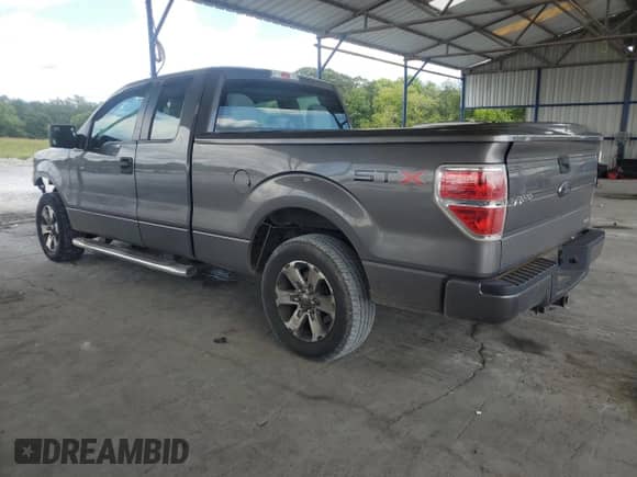 2013 Ford F-150 XL with VIN 1FTFX1CF7DKF89943, listed as a Copart auction lot 68833375 with 119,233 mi miles and Salvage title. Bid and sale history available at DreamBid. Image 2.