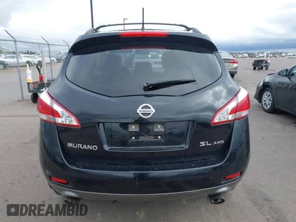 2013 Nissan Murano SV with VIN JN8AZ1MW2DW317445, listed as a IAAI auction lot 42177164 with 162,649 mi miles and . Bid and sale history available at DreamBid. Image 16.